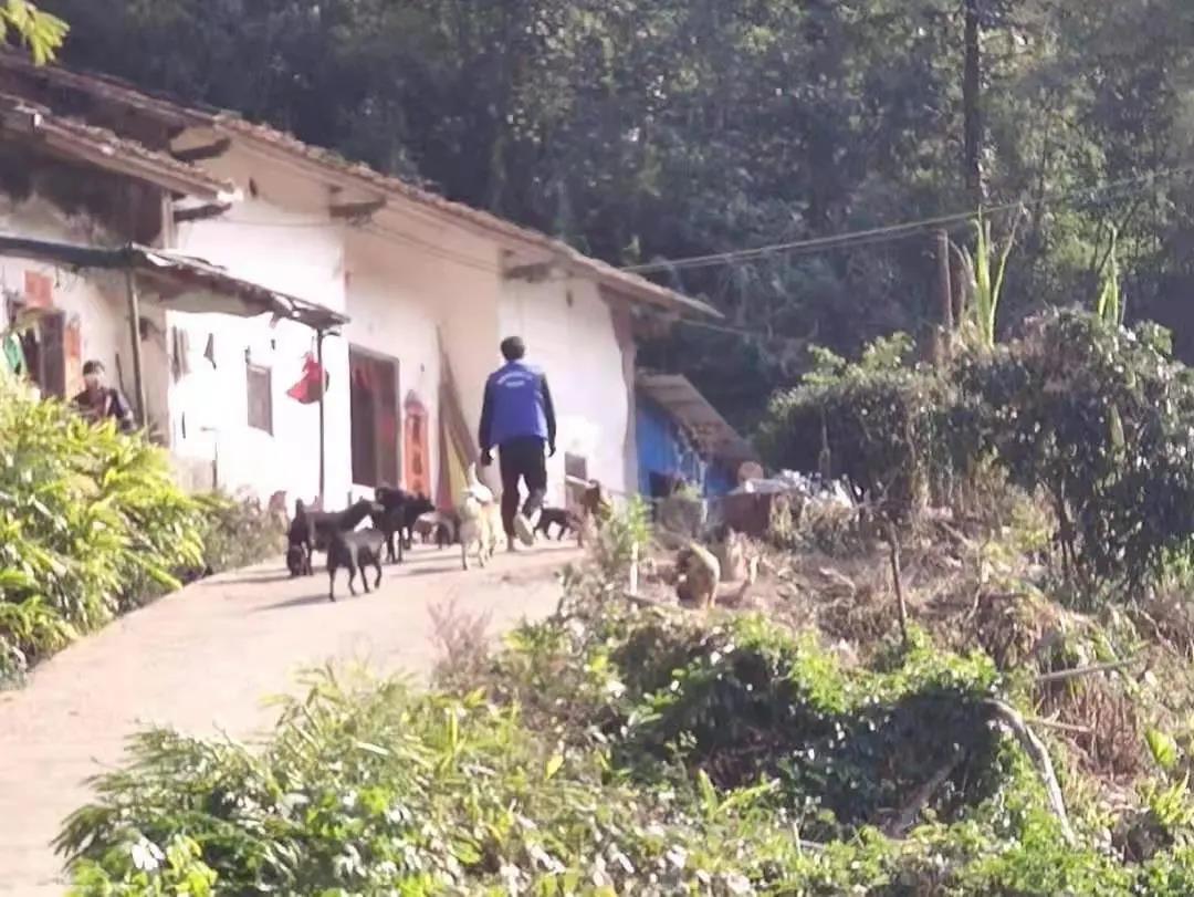 阳春房地一体项目纪实丨无悔青春多砥砺，最是奋斗动人心