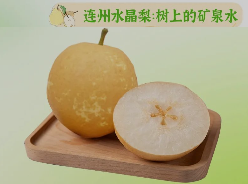 “桃李”炎暑，清冷一夏