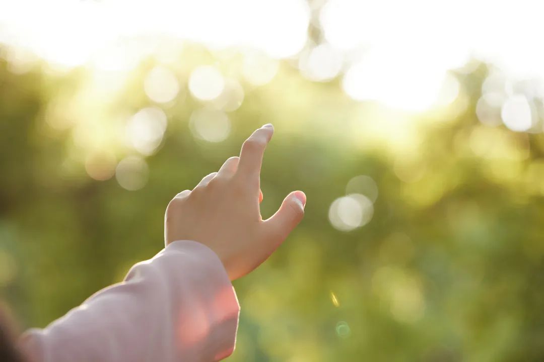 员工随笔丨喂，中年少女！