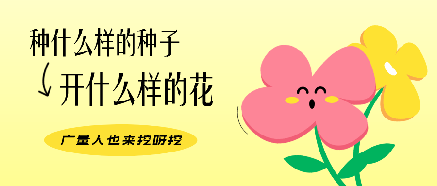 量圈儿NO.104丨广量人的幼幼花圃，挖到宝了！
