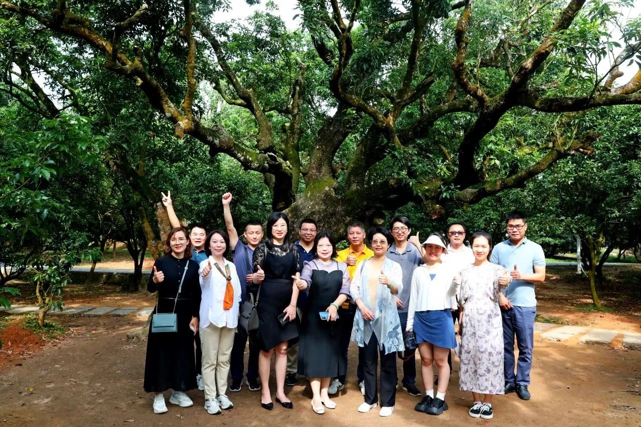 广量集团作为省河山空间生态建复协会轮值会长带队调研粤西全域地皮综合整治工作