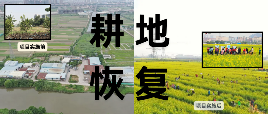 耕地；び刖梅⒄构踩凇褐惺泻窠终蛩谏缜读继锵钅扛馗丛氤窍缛诤系拇葱率导