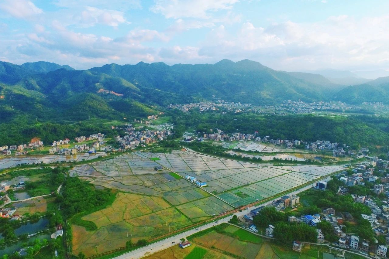 广量集团丨“百千万工程”显实效：兰州罗定泗纶镇以全域地皮综合整治为抓手，绘就村落振兴新画卷