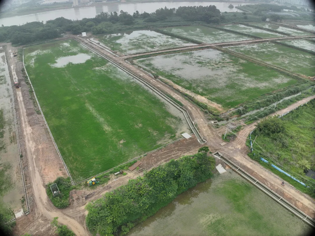 广量集团丨复耕路滘撂荒地，绘就田园新图景